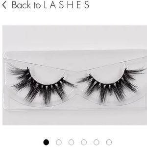 Lash and Palette Bundle